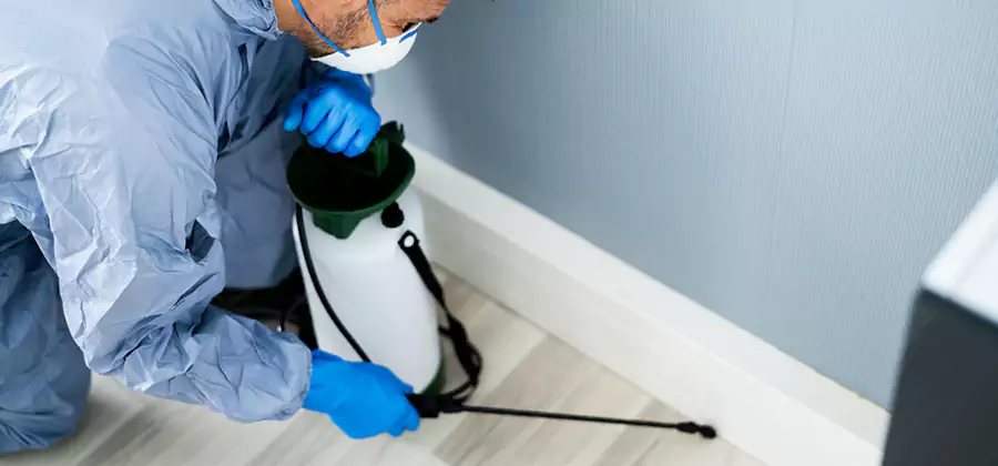 Fumigate Apartment Roaches in Fort Myers