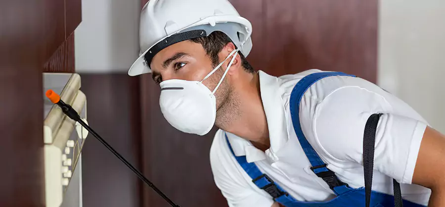 Injection Foam Treatment for Drywood Termites in Fort Myers