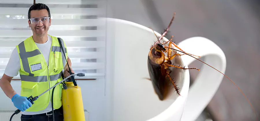 German Roach Infestation Treatment Fort Myers