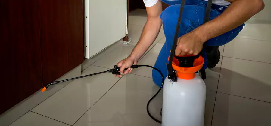Indoor Mosquito Treatment in Fort Myers