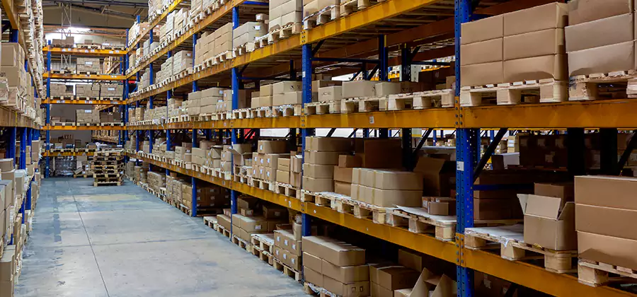 Warehouse Pest Control in Fort Myers