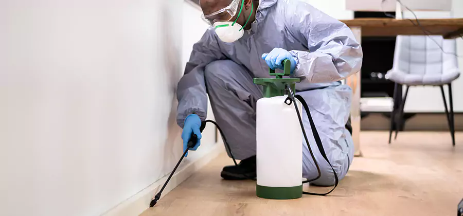 Long Lasting Mosquito Treatment in Fort Myers