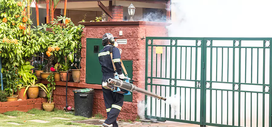 Backyard Mosquito Foggers Service in Fort Myers