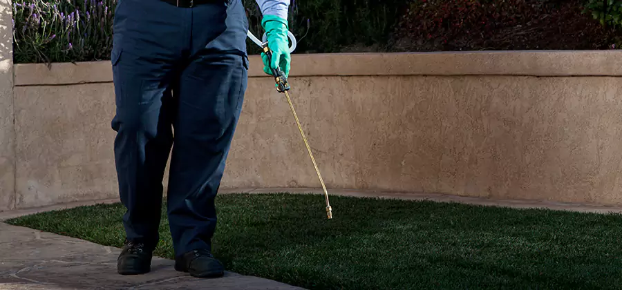 Soil Treatment for New Construction Termites in Fort Myers