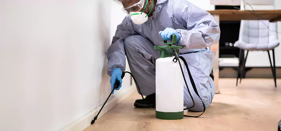 No Tent Termite Extermination With Electric Tool in Fort Myers