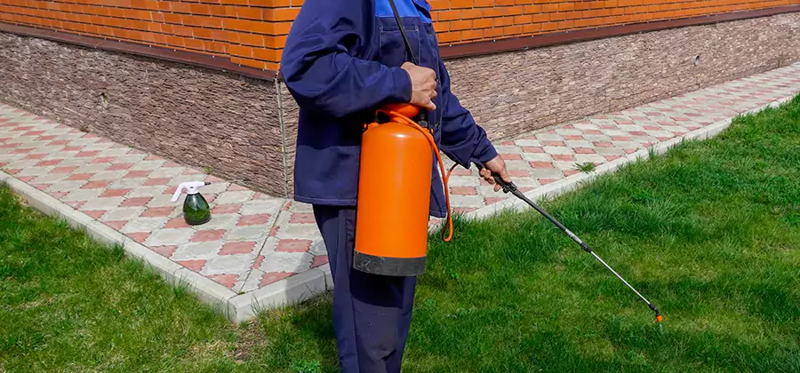 Non Toxic Termite Treatment in Fort Myers