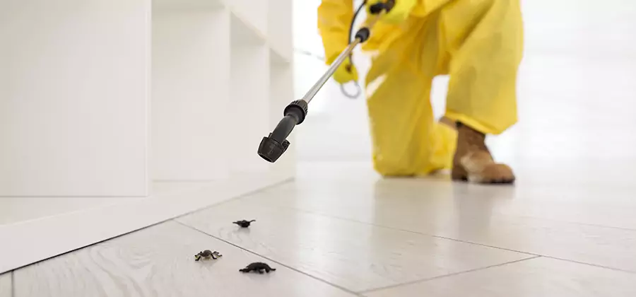 Roach and Bed Bug Exterminator in Fort Myers