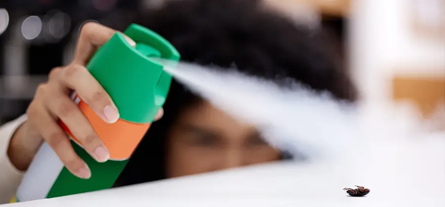 Child Safe Bed Bug Treatment in Fort Myers