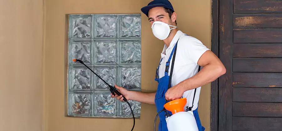 Physical Termite Barrier Installation in Fort Myers