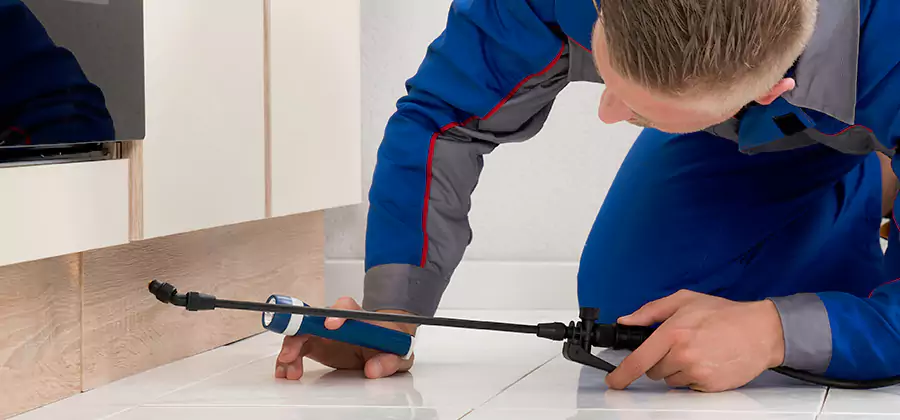 Moisture Treatment For Termite Control Service in Fort Myers