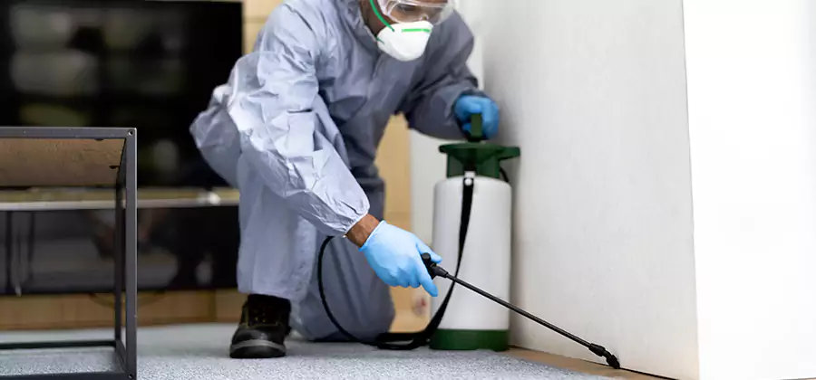 Wood Protection Termite Treatment in Fort Myers
