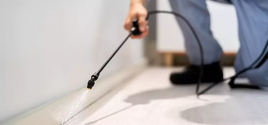 Direct Termite Injection Treatment in Fort Myers