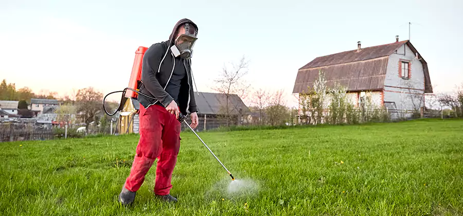 Flea and Tick Pest Control in Fort Myers