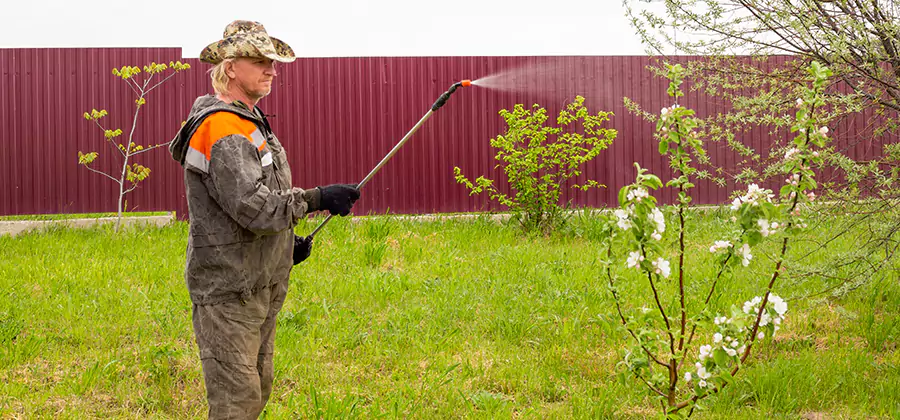 Flea and Tick Spray for Yard in Fort Myers