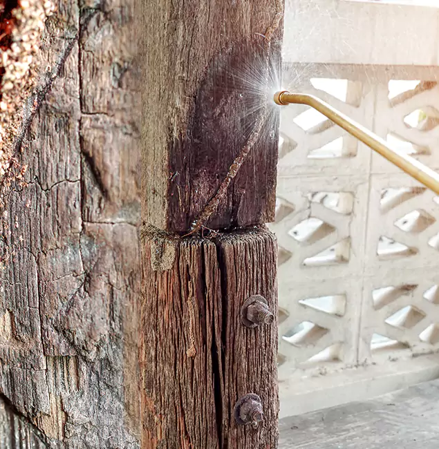 Why Choose Fort Myers Pest Control Pro for Attic Termite Treatment in Fort Myers, FL?