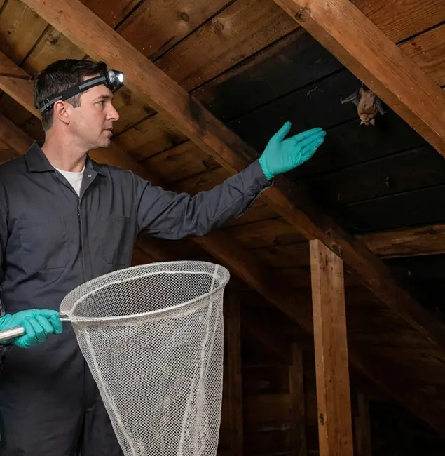 Why Fort Myers Pest Control Pro Is the Right Choice in Fort Myers, FL?
