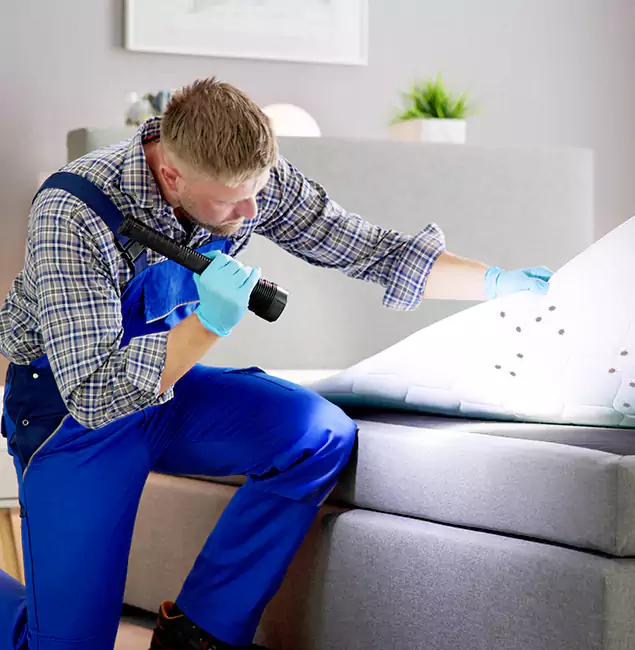 Why Choose Fort Myers Pest Control Pro For Bed Bug Heat Treatment in Fort Myers, FL?