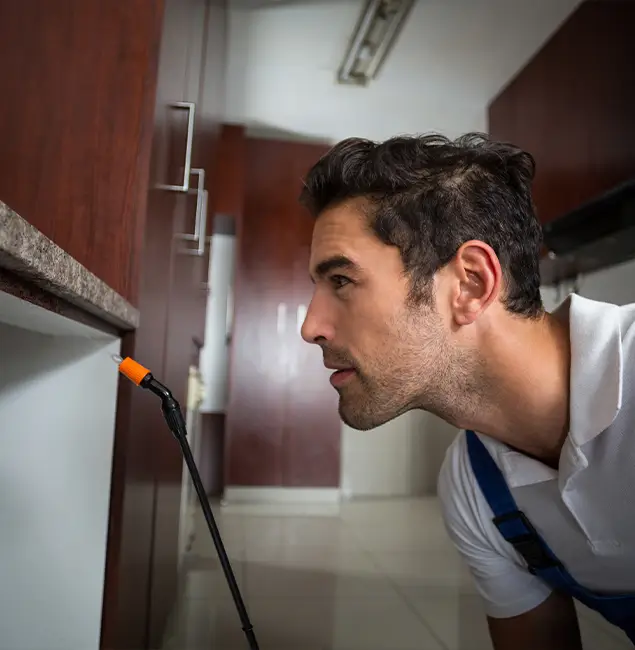 Why Choose Fort Myers Pest Control Pro for Bed Bug Removal Cost in Fort Myers, FL?
