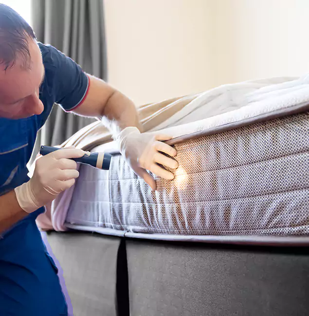 Why Choose Fort Myers Pest Control Pro for Bed Bug Services in Fort Myers, FL?