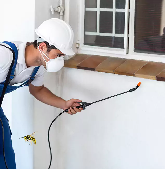 Why Fort Myers Property Owners Choose Fort Myers Pest Control Pro for Bee Nest Removal?