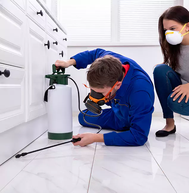Why Choose Fort Myers Pest Control Pro in Fort Myers, FL?