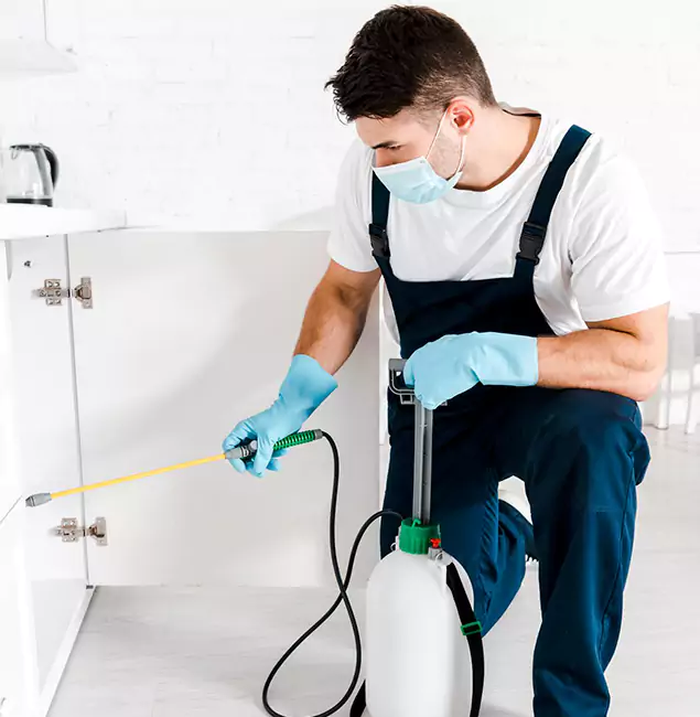 Why Choose Fort Myers Pest Control Pro for Emergency Pest Control in Fort Myers?