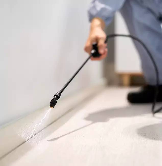 Why Choose Fort Myers Pest Control Pro for Termite Treatment in Fort Myers, FL?