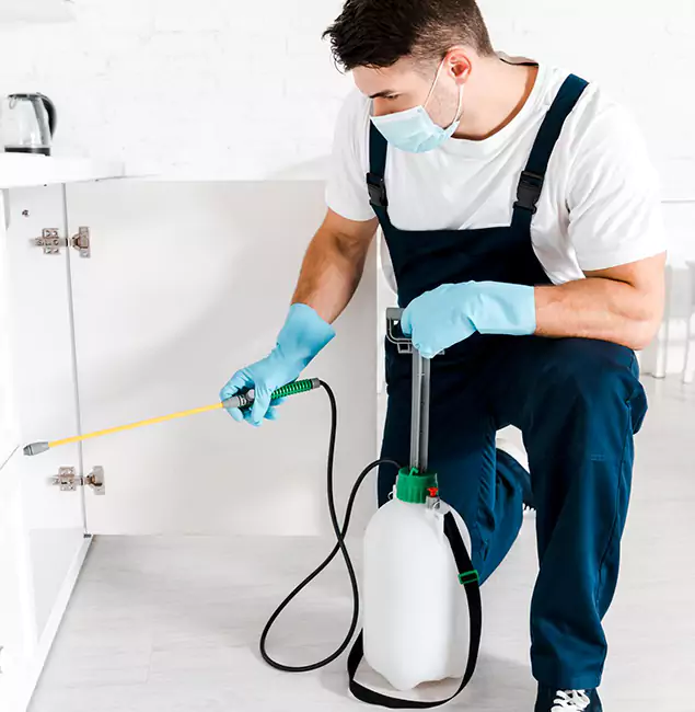 Why Choose Fort Myers Pest Control Pro for Indoor Pest Control in Fort Myers, FL?