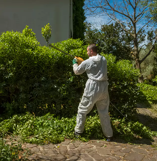 Why Fort Myers Pest Control Pro Leads Mosquito Control in Fort Myers, FL?