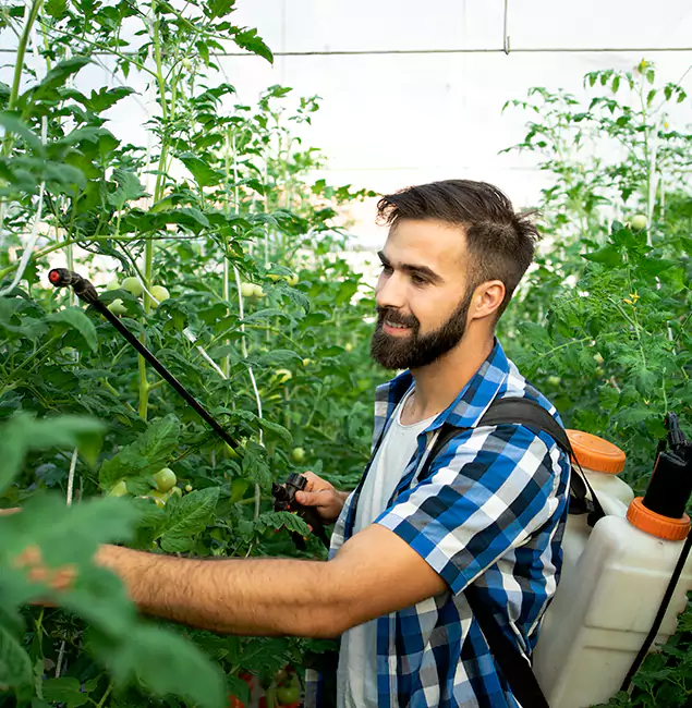 Why Fort Myers Homeowners Choose Fort Myers Pest Control Pro for Mosquito Spraying?