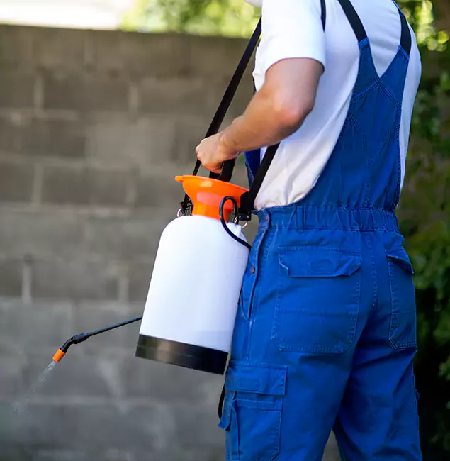 Why Fort Myers Pest Control Pro Delivers the Best Mosquito Control in Fort Myers, FL?