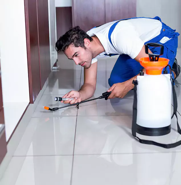 Why Fort Myers Pest Control Pro Is the Proven Choice in Fort Myers, FL?