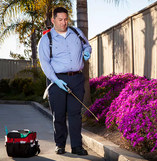 Why Choose Fort Myers Pest Control Pro in Fort Myers, FL?