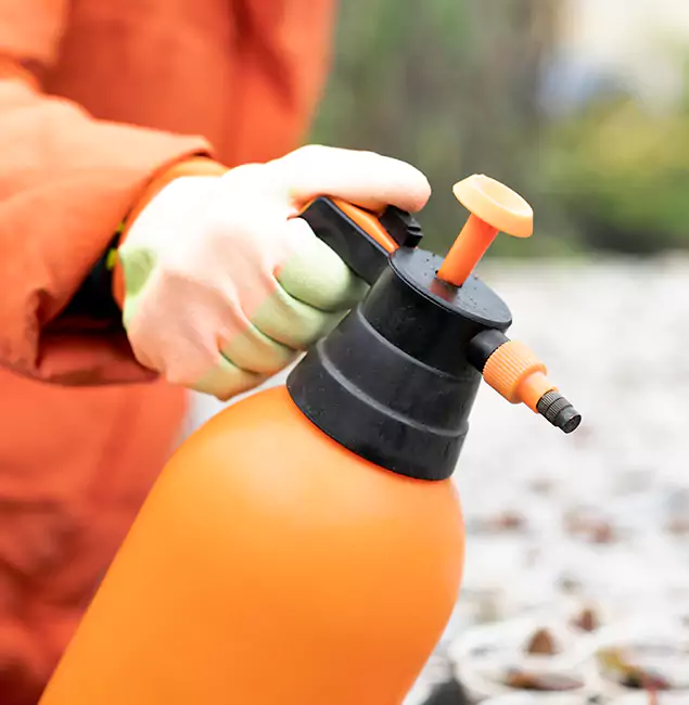 Why Choose Fort Myers Pest Control Pro for Orange Termite Treatment in Fort Myers, FL?