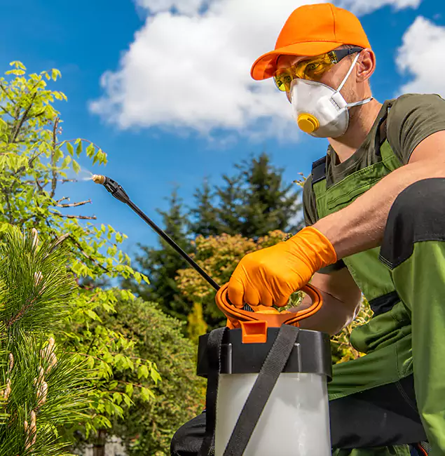 Why Choose Fort Myers Pest Control Pro for Outdoor Pest Control in Fort Myers, FL?