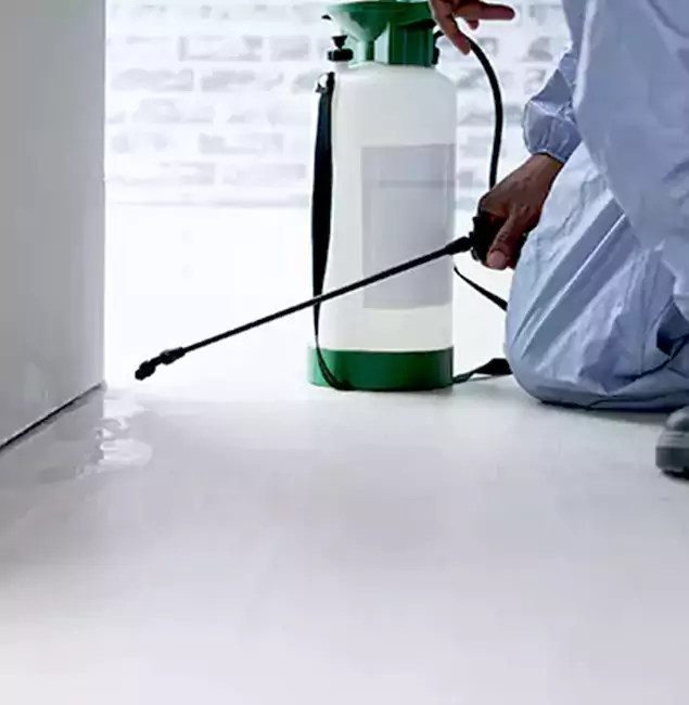 Why Choose Fort Myers Pest Control Pro for Rat Exterminator in Fort Myers, FL?