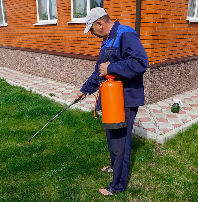 Why Choose Fort Myers Pest Control Pro for Residential Pest Control in Fort Myers, FL?