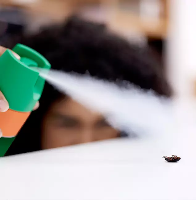 Why Fort Myers, FL Homeowners Choose Fort Myers Pest Control Pro for Roach Pest Control?