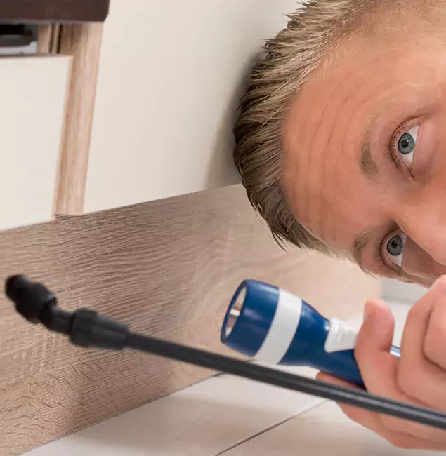 Why Choose Fort Myers Pest Control Pro for Rodent Exterminator in Fort Myers, FL?