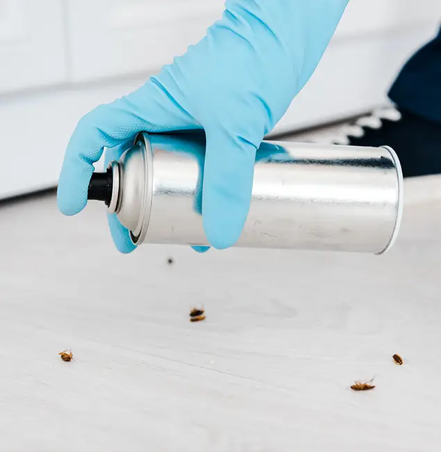 Why Choose Fort Myers Pest Control Pro for Safe Bed Bug Treatment in Fort Myers, FL?