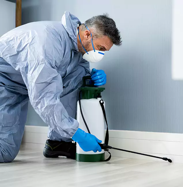 Why Choose Fort Myers Pest Control Pro for Subterranean Termites Treatment in Fort Myers, FL?