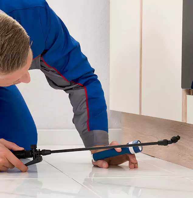 Why Fort Myers Residents Choose Fort Myers Pest Control Pro to Get Rid of Sugar Ants?