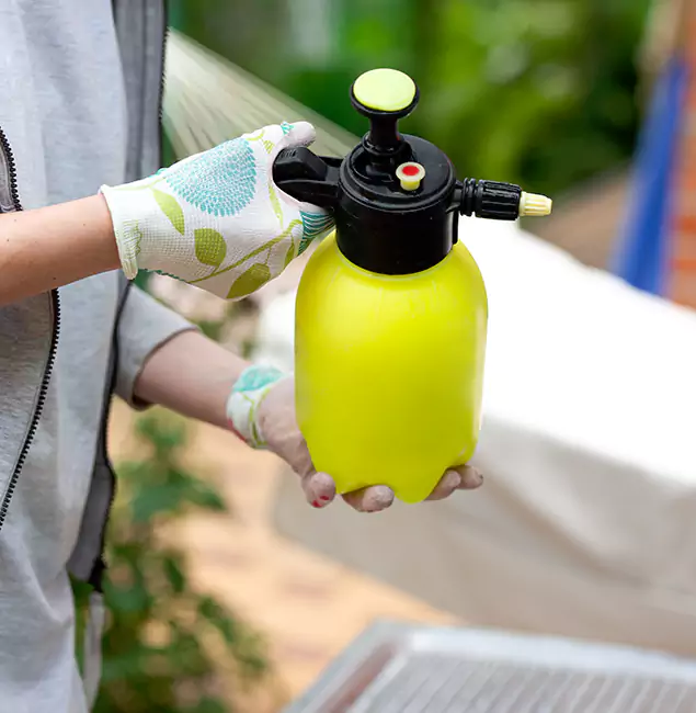 Why Choose Us: Fort Myers Pest Control Pro Termite Spraying Experts in Fort Myers, FL?