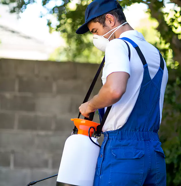 Why Fort Myers Pest Control Pro Is the Right Choice for Yellow Jacket Removal in Fort Myers, FL?
