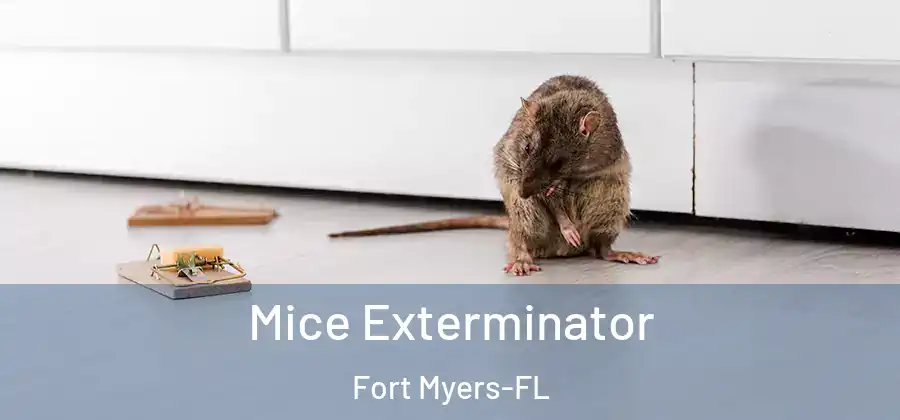  Mice Exterminator Fort Myers-FL