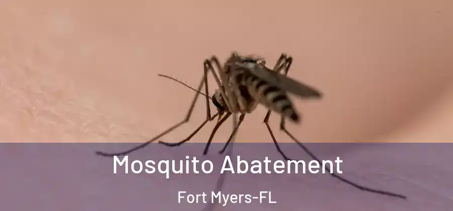 Mosquito Abatement Fort Myers-FL