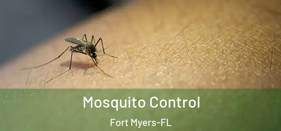  Mosquito Control Fort Myers-FL
