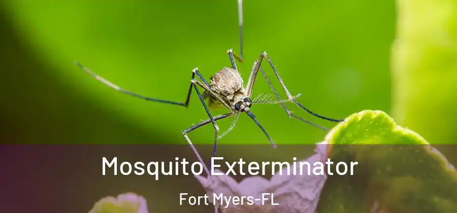 Mosquito Exterminator Fort Myers-FL