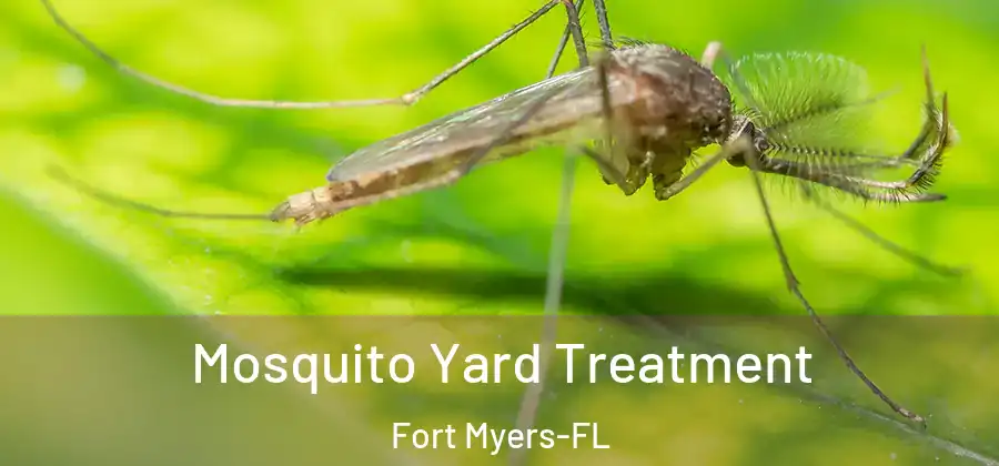 Mosquito Yard Treatment Fort Myers-FL