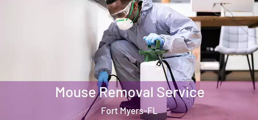  Mouse Removal Service Fort Myers-FL